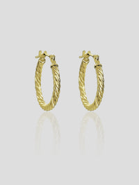 Fulton - 14K Solid Gold Hoops